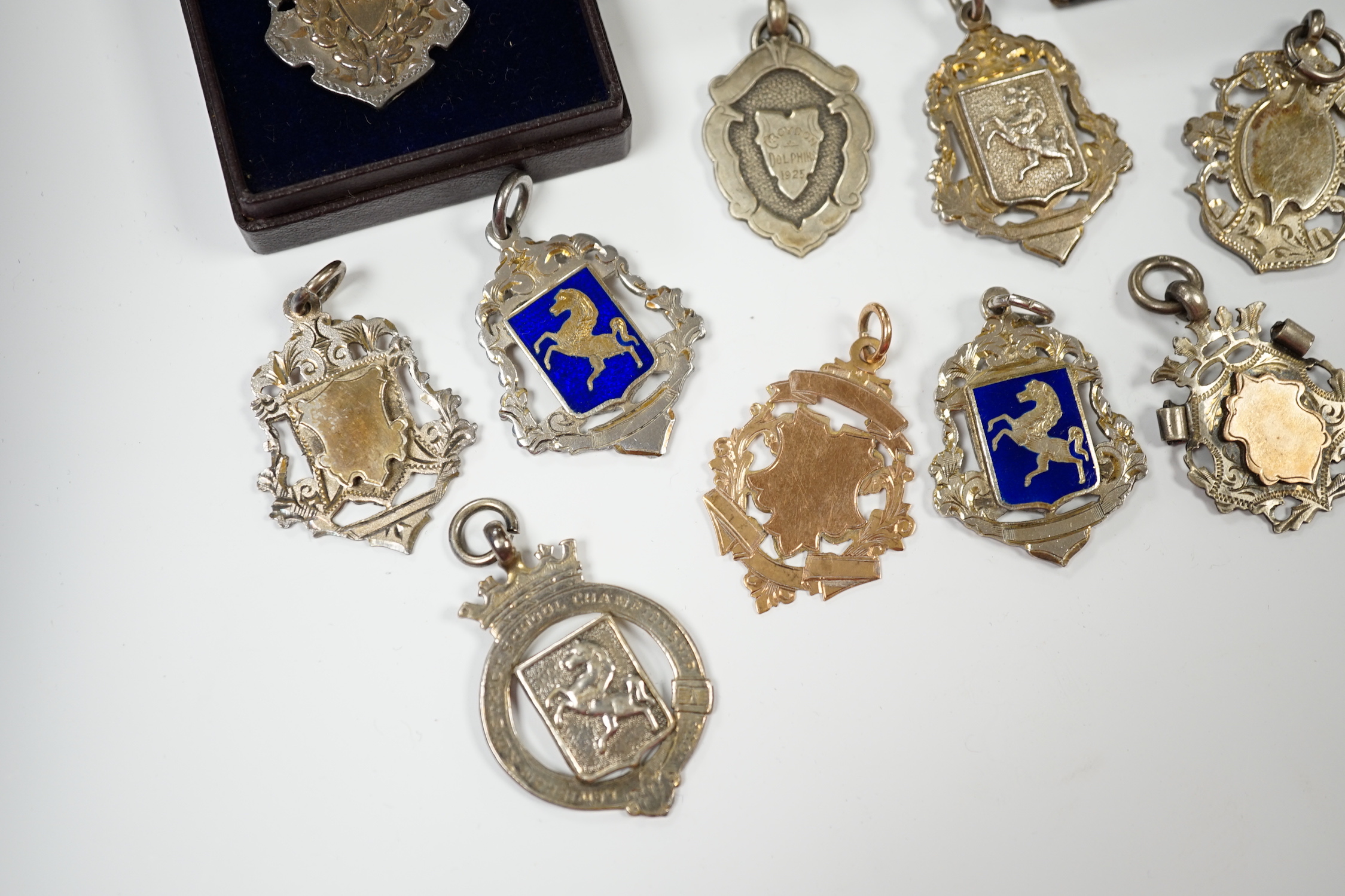 An Edwardian 9ct gold medallion, Birmingham, 1905, 36mm, 4.1 grams, together with thirteen other sporting related medallions including eleven silver, two with enamel.